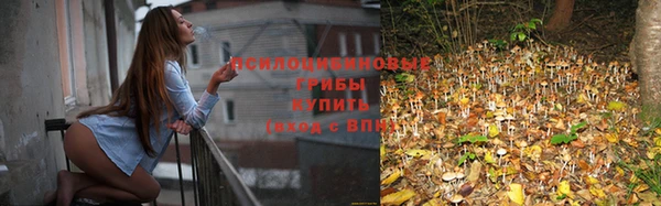 ГАЛЛЮЦИНОГЕННЫЕ ГРИБЫ Козельск