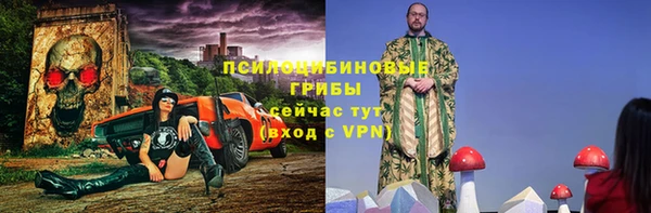 ГАЛЛЮЦИНОГЕННЫЕ ГРИБЫ Козельск